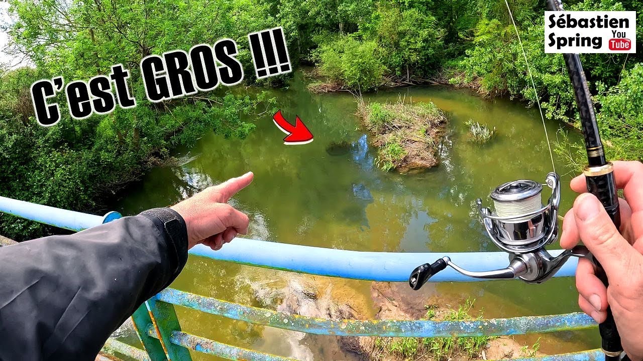 Il y a TOUJOURS un GROS poisson sous un PONT !!!