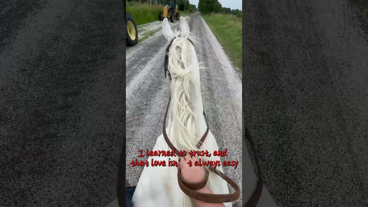 Never forgotten! Love her forever!😭🫶🥺❤️ #subscribe #horse #equestrianjourney #horseenthusiast