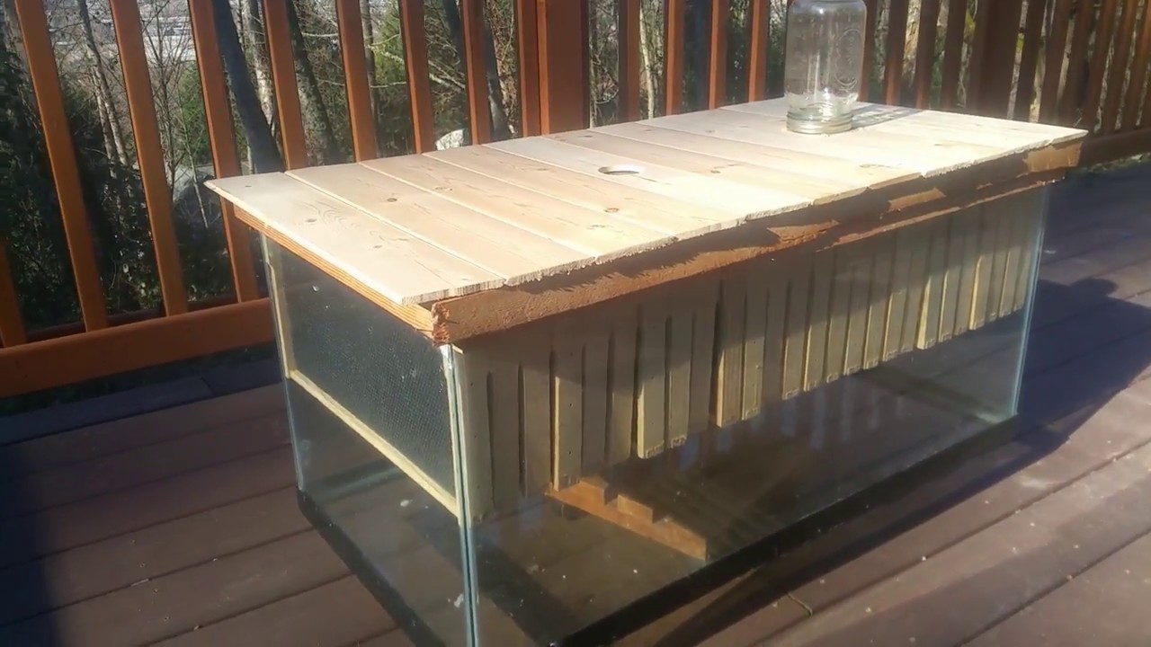 DIY Observation Beehive in Aquarium Part 1