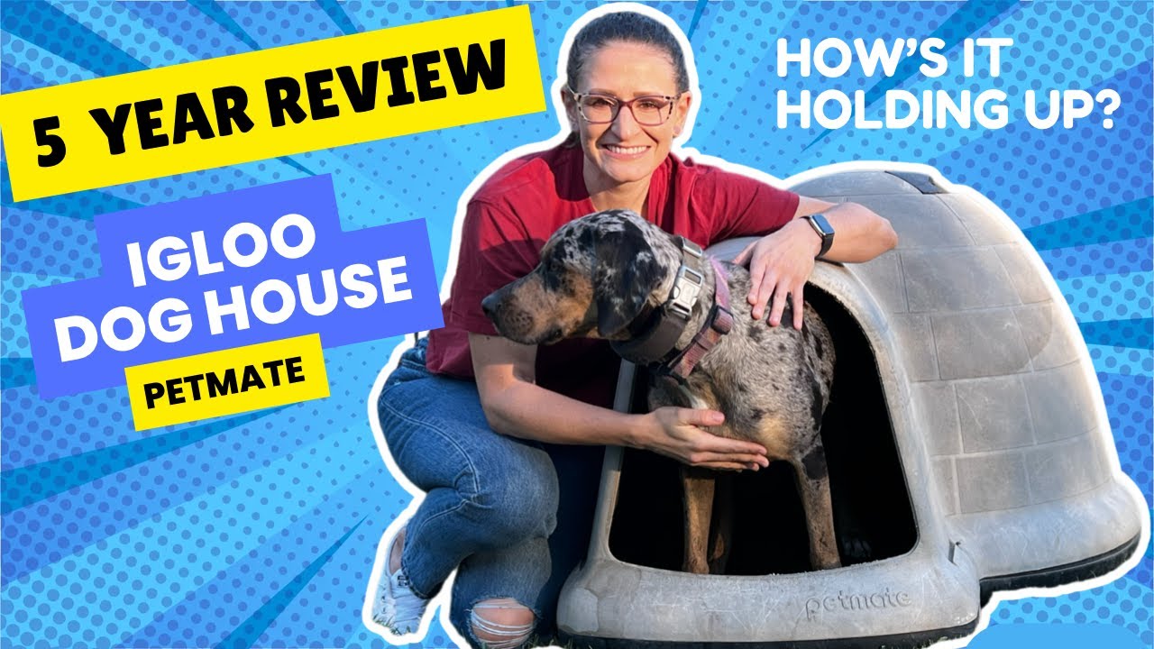 5 Year Review of Igloo Dog House by Petmate - built to last!