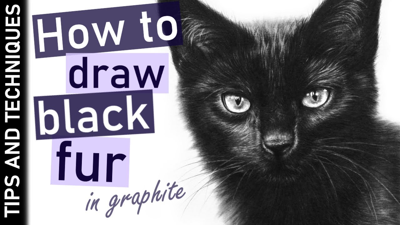 How to draw black fur in graphite | Drawing a black cat | Tips & Tools
