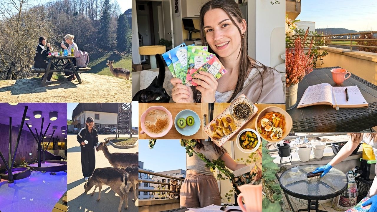 NAPADEL ME JE JELEN, NESIGURNOSTI, SPOMLADANSKO ČIŠČENJE | FINA JASMINA VLOG