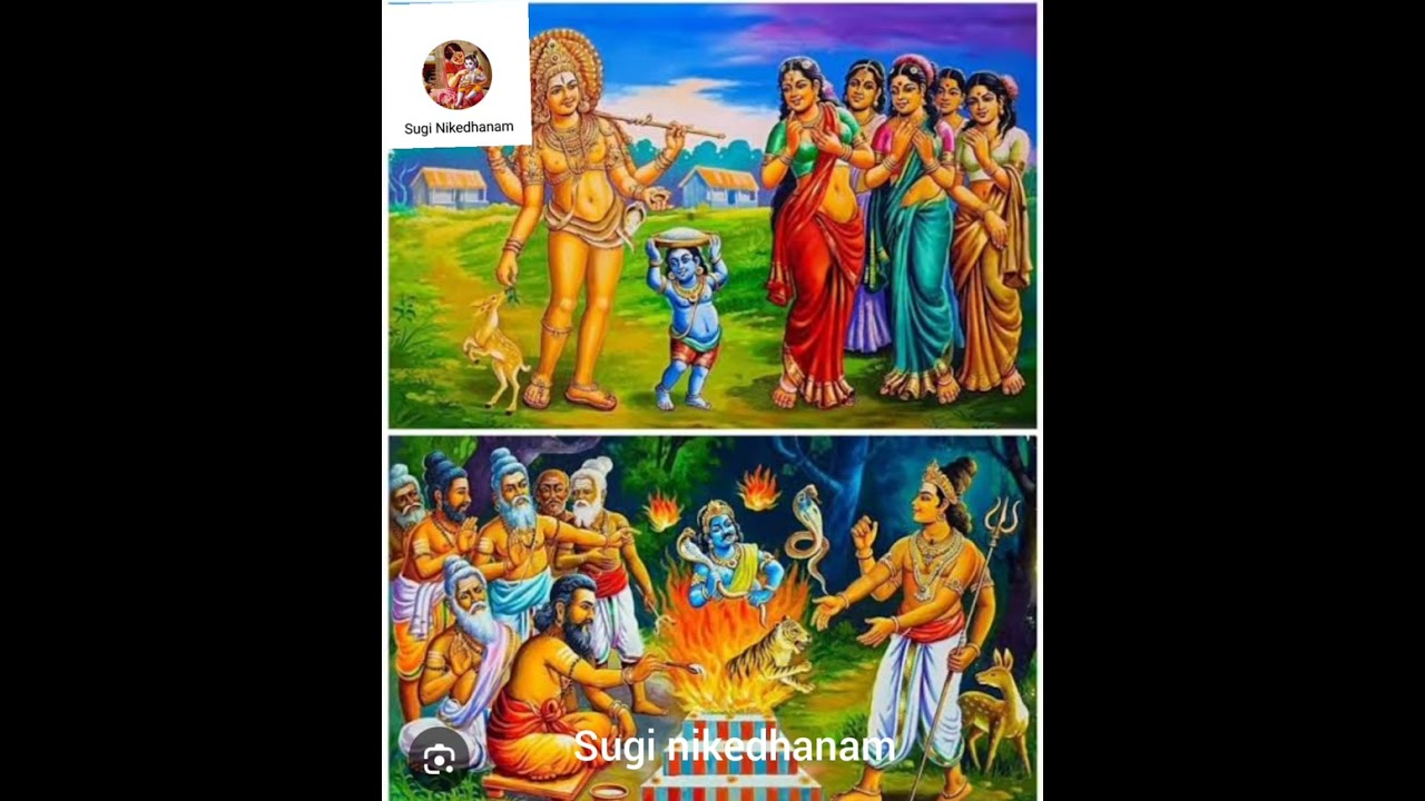 குதிரை வாகனம், பிக்ஷாடனர் கோலம். ( வாகனங்கள் உணர்த்தும் தத்துவம்) 