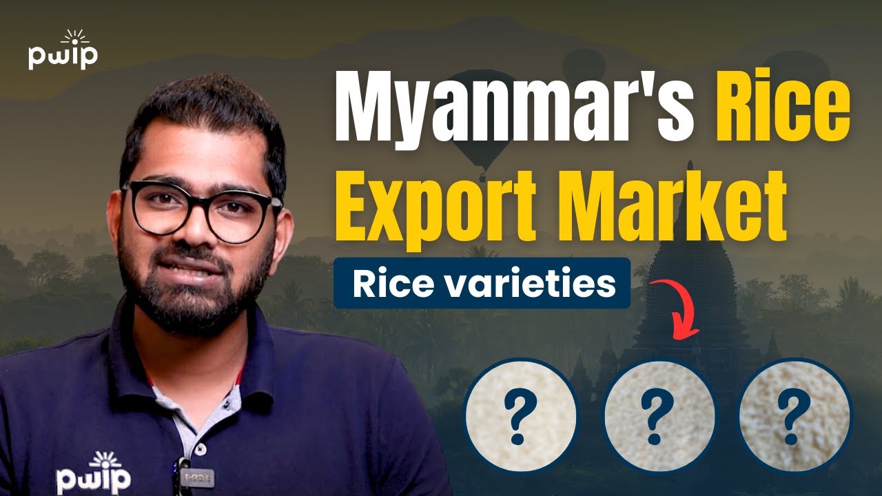 Unveiling Myanmar's Diverse Rice Varieties: Episode-2 Revealed