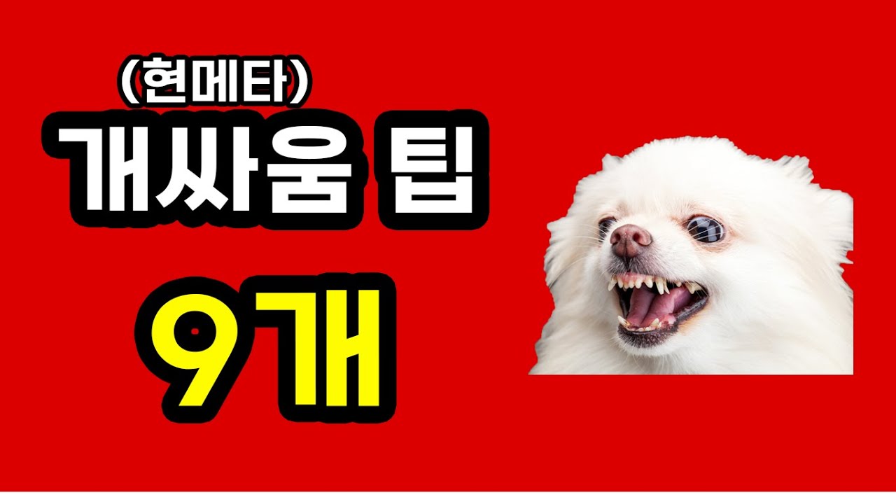 캐릭별 추천 포지션은 그대로임ㅣ템세팅ㅣ템트리ㅣ운영법 [사이퍼즈]