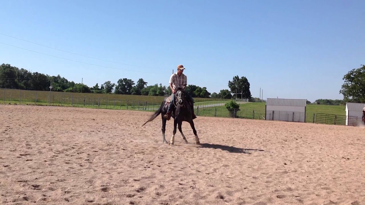 DANCIN WITH LARK- R SPIN A