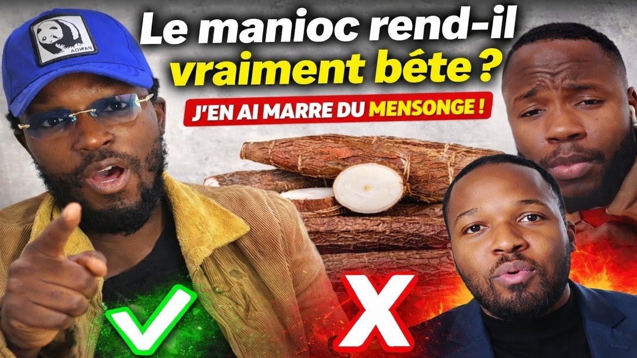 LE MANIOC REND BETE ?
