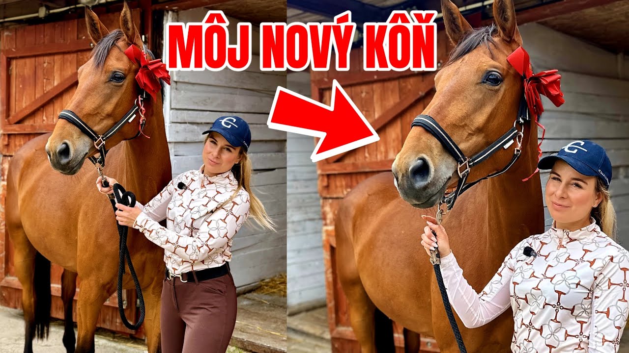 Môj nový kôň!!! 🐴 Kúpila som si prvého vlastného koňa 😍 | plemeno furioso | žrebčín Motešice