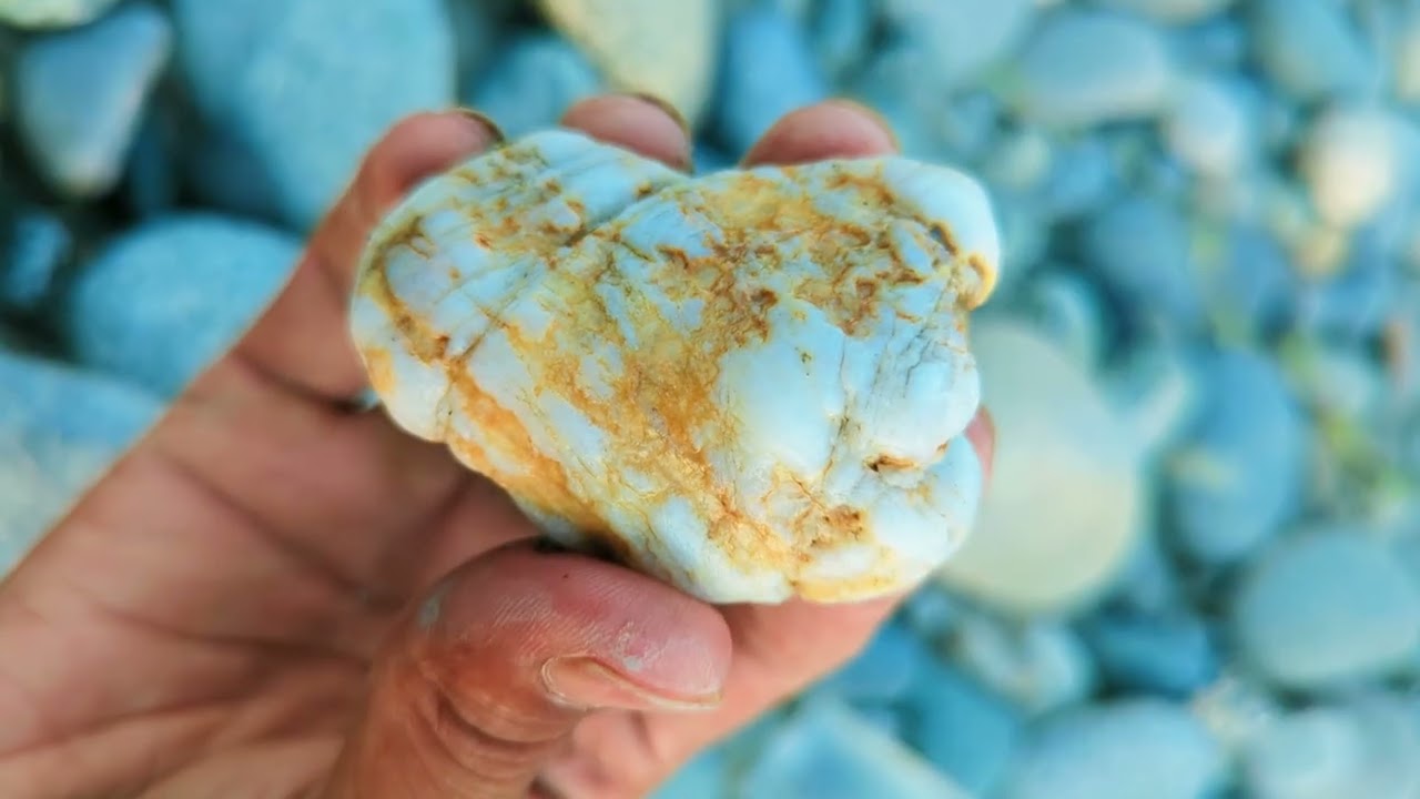 Is Milky Quartz Worth Anything? (How to Identify & Find Gold Inside!)