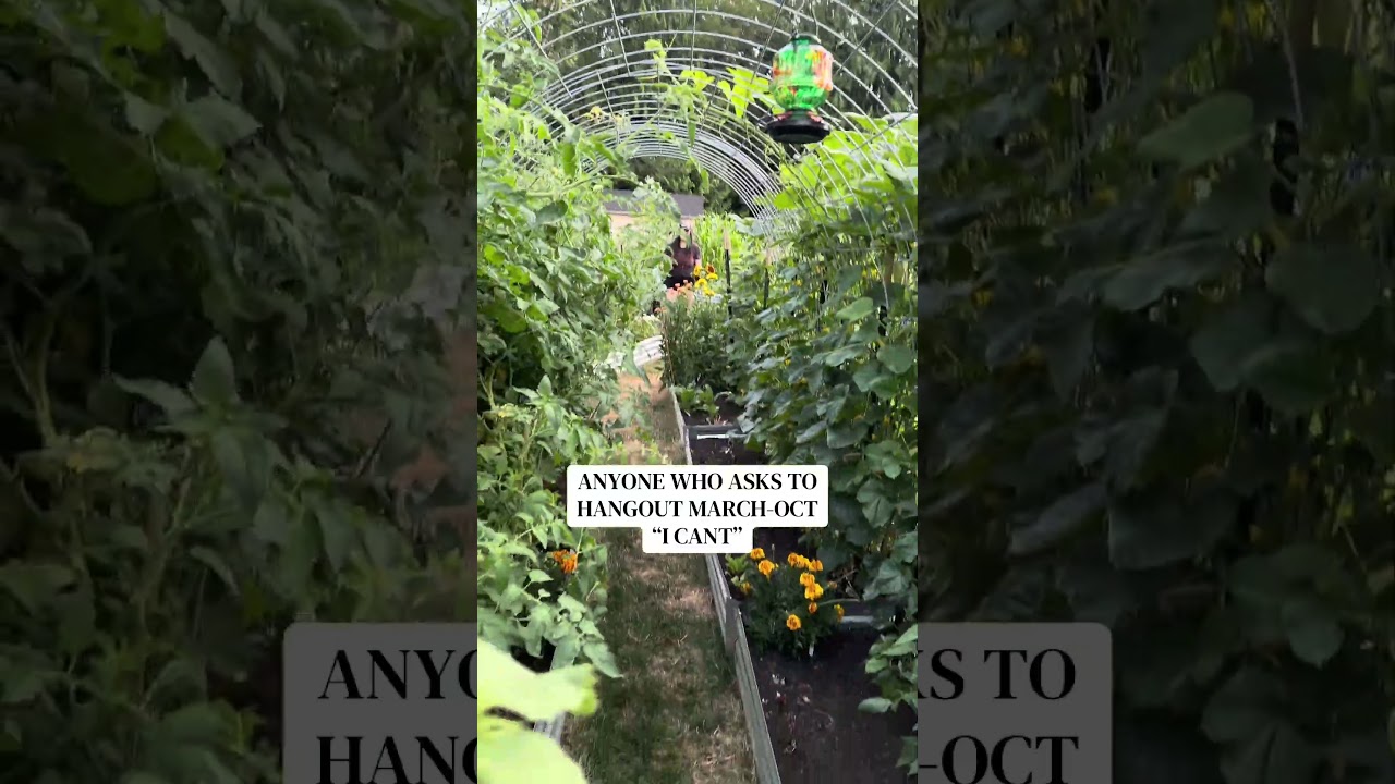 Who else is marked busy March-October? 😆🥦 