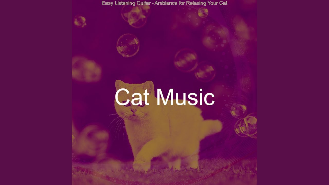 Friendly Music for Relaxing Your Cat