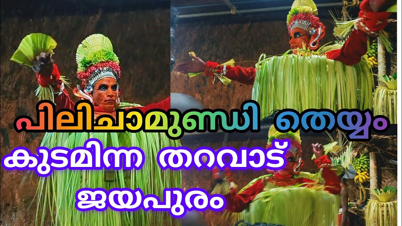 പിലിചാമുണ്ഡി തെയ്യം / കുടമിന്ന തറവാട് ജയപുരം / Sapthakshmi creation