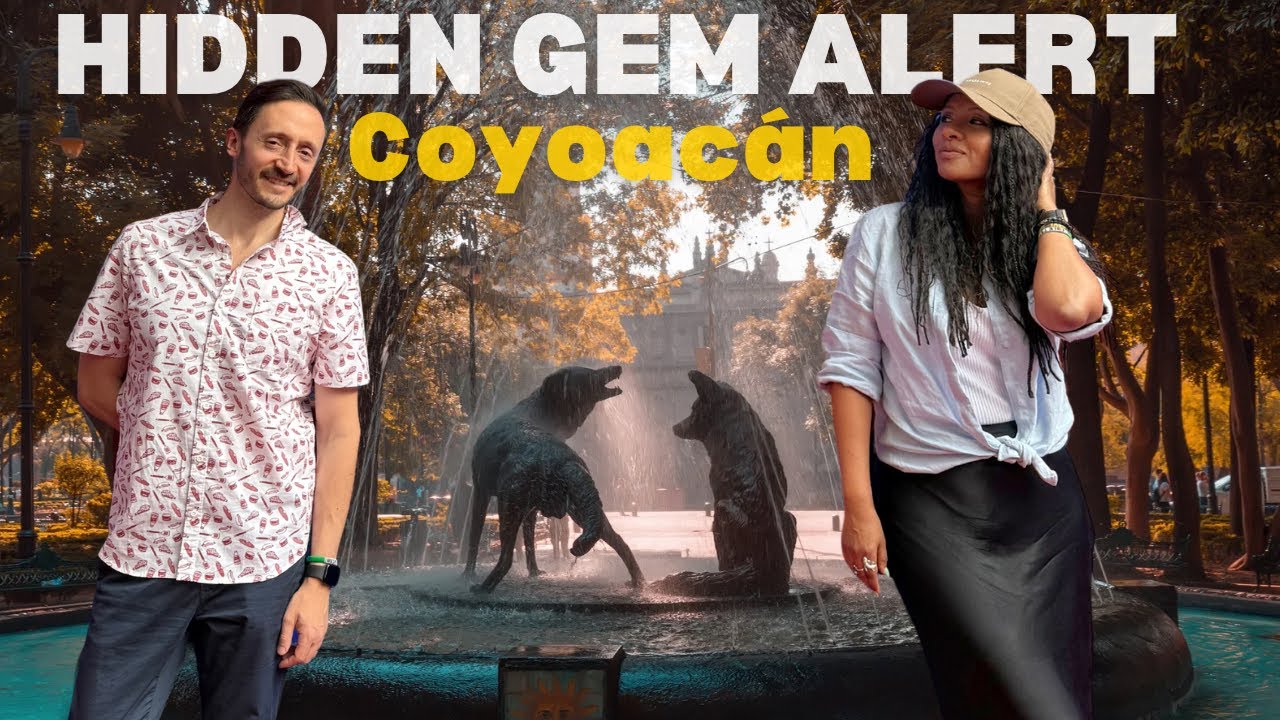 You’ll Want to Move Here After One Walk Through Coyoacán