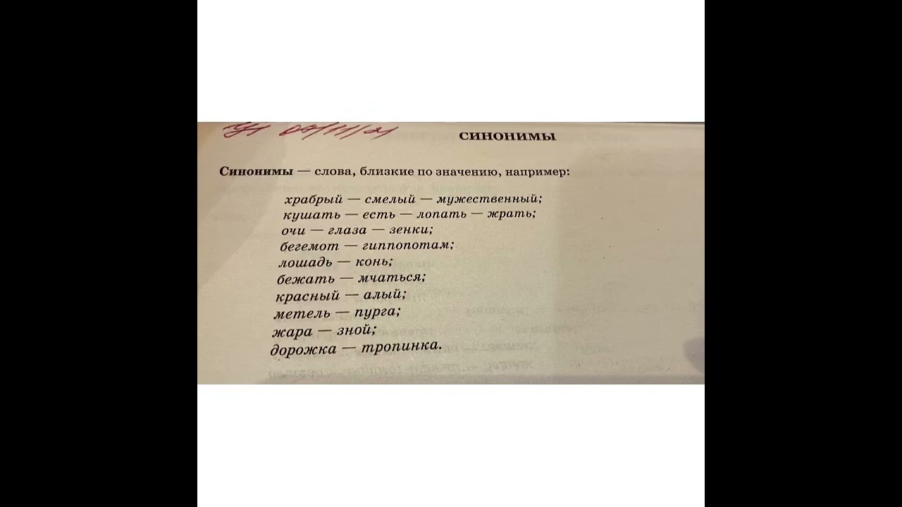 Изучаем Русский язык вместе: Синонимы/24.06.22