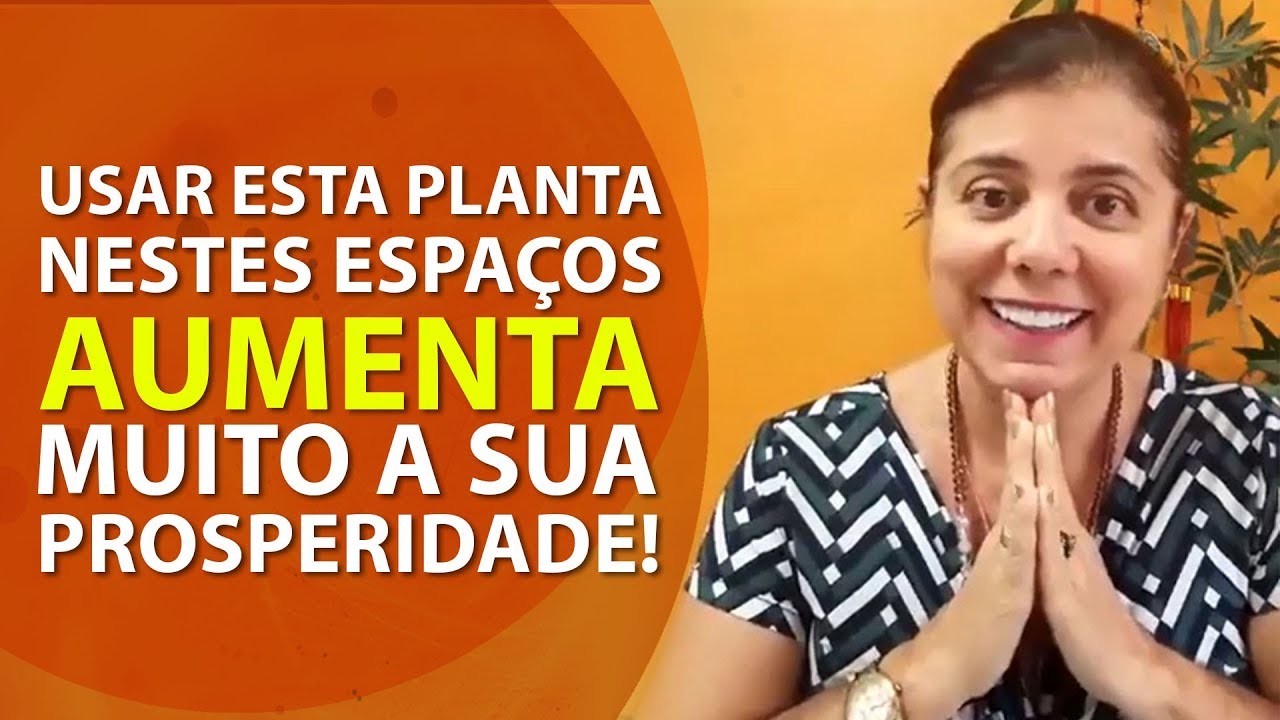 Feng Shui | Use esta planta para aumentar muito  a sua Prosperidade!