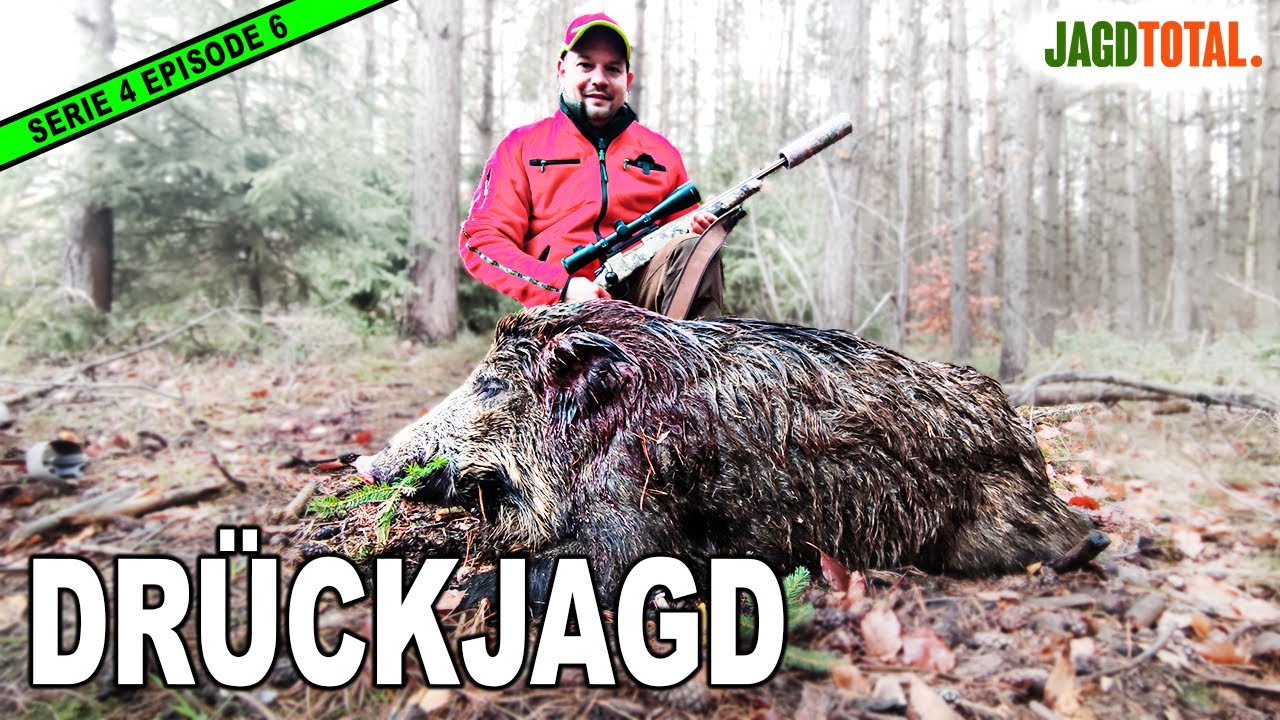 DR&Uuml;CKJAGD: Erfolgreiche Saujagd | JAGD TOTAL