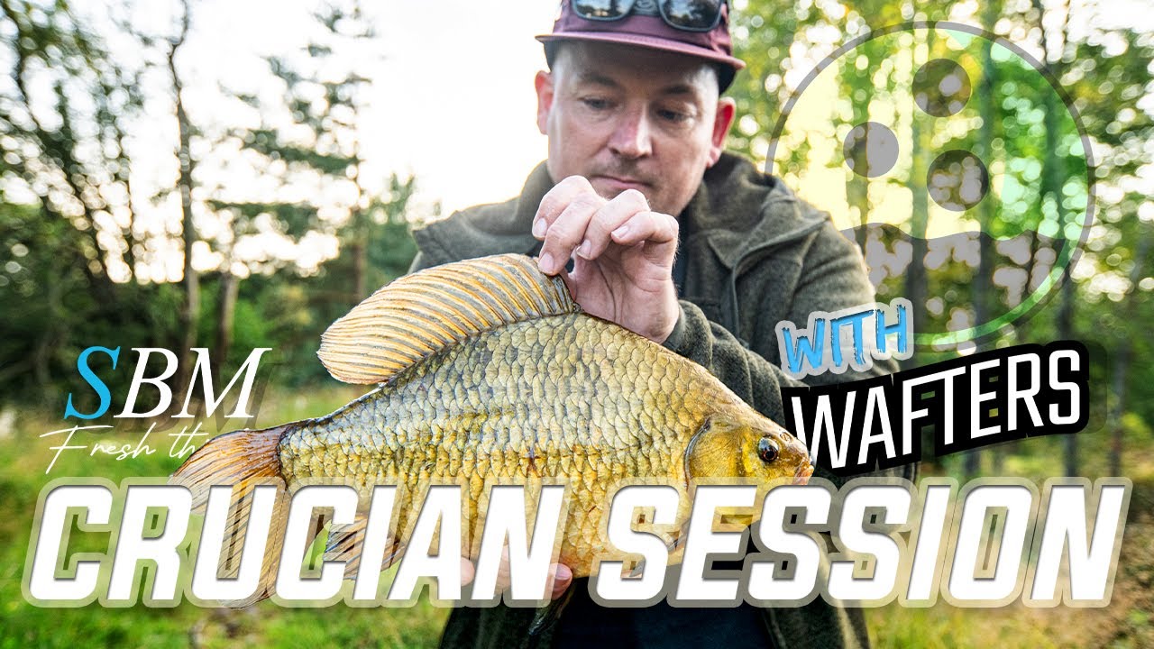 Crucian session Feat. Gary Benney (4K)