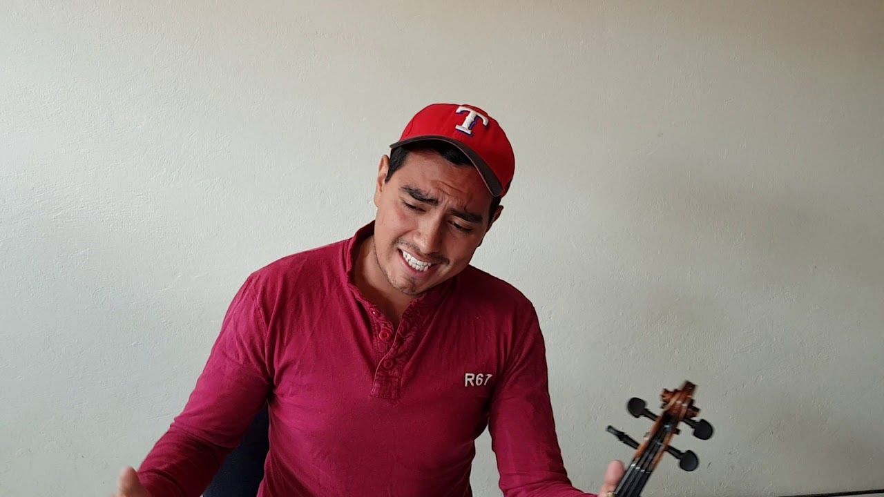 Mariachi Gallos de México Aires del Mayab / Toro Relajo