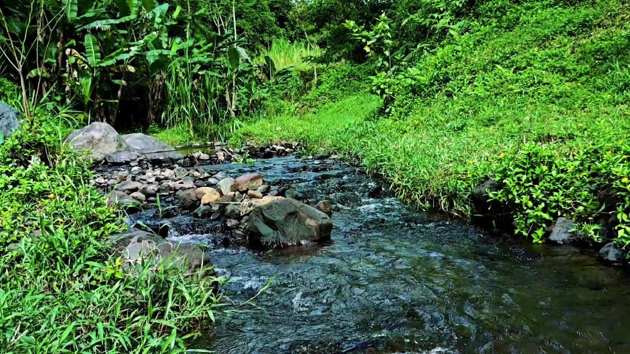 Relaxing Tranquil River Sleep Sound – Peaceful Nature Ambience for Deep Sleep & Stress R