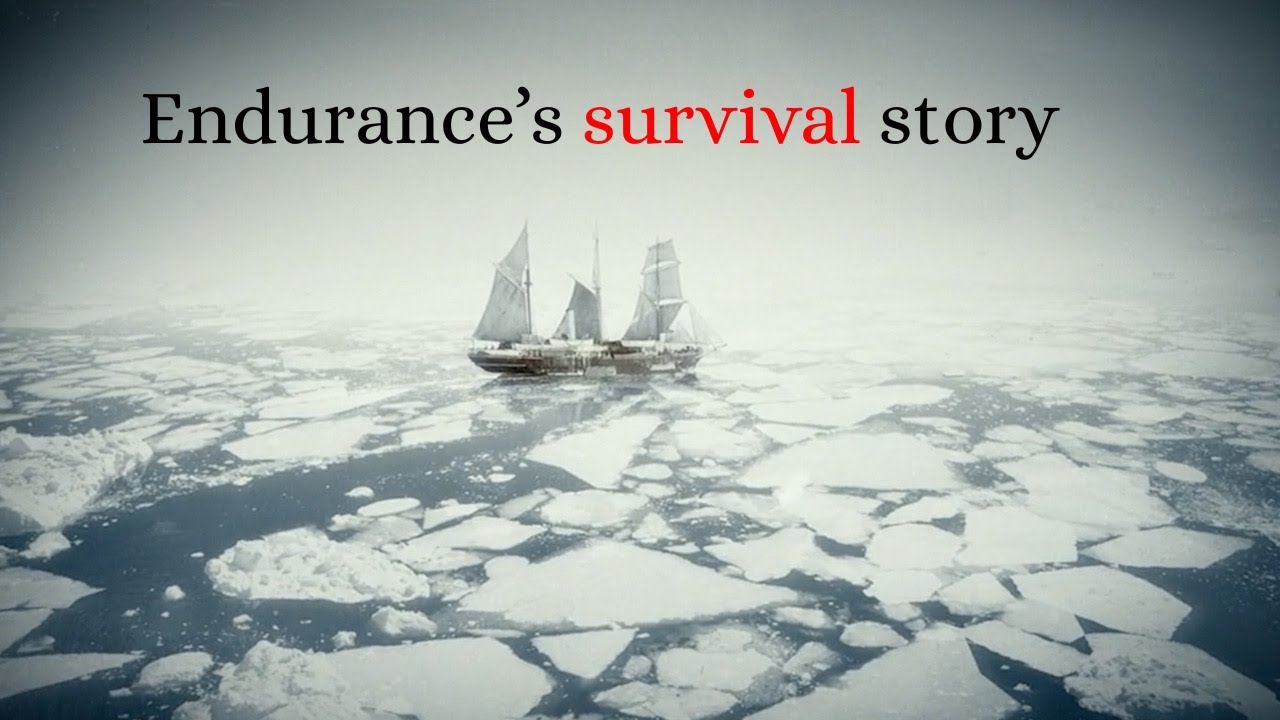 Endurance survival story.A calm narrated true survival story. 