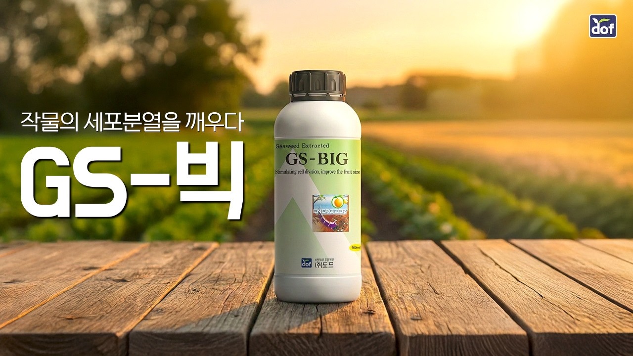 농사의 시작, GS-빅! 세포분열부터 수확까지 결과가 달라집니다.