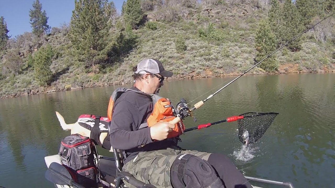 Do You Need A Line Counter Reel For Trout?