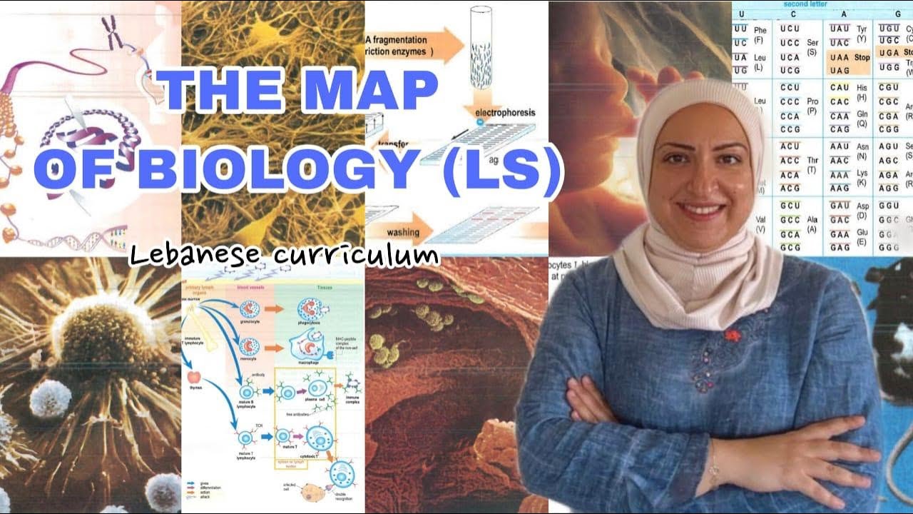 The 12LS Biology map 2024