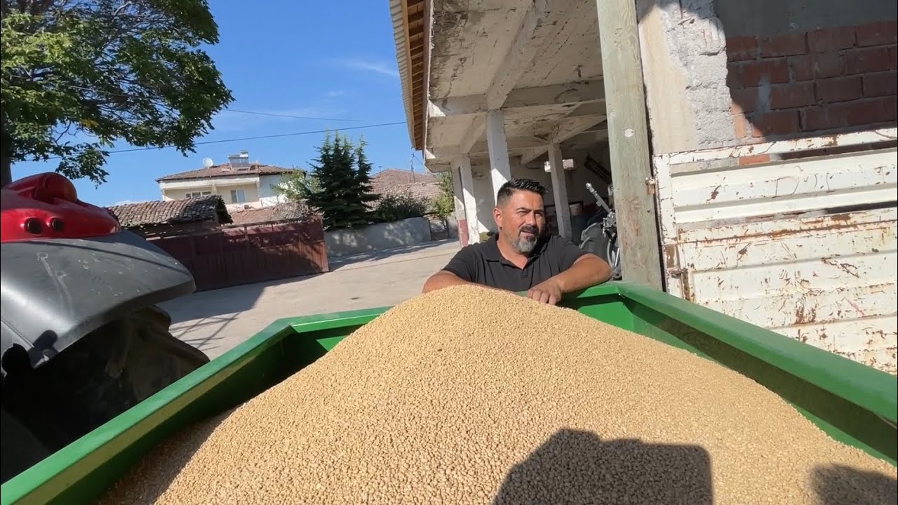 KARAMAMBA VE 5450 ERKENCİ SOĞAN YERİ HAZIRLIĞI (BU SENE SOĞAN NE OLUR )