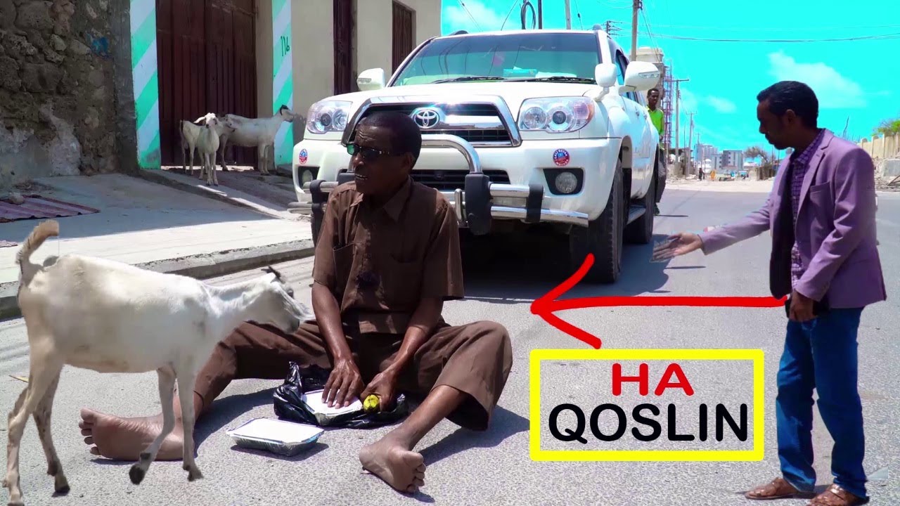 Magaalo Joog Xumo | Oday Cabdulle oo Wacdaro ku dhigay Abahaa & Xirnaanshaha Wadooyinka..