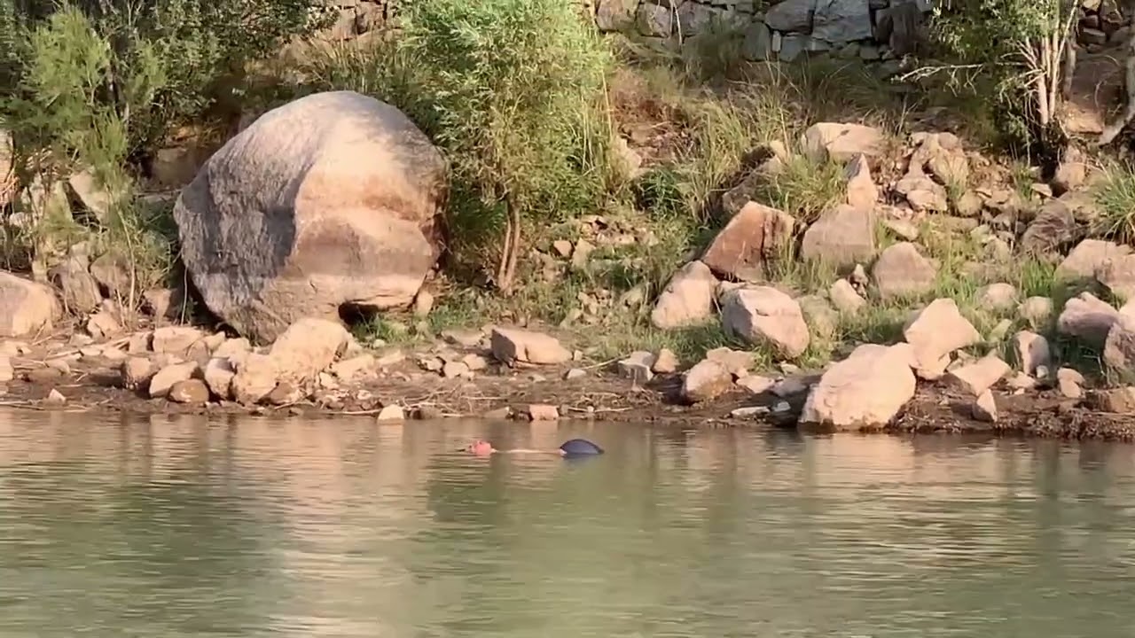 	A Perfect Day in Helmand Valley | Swimming, Nature & Hidden Stones