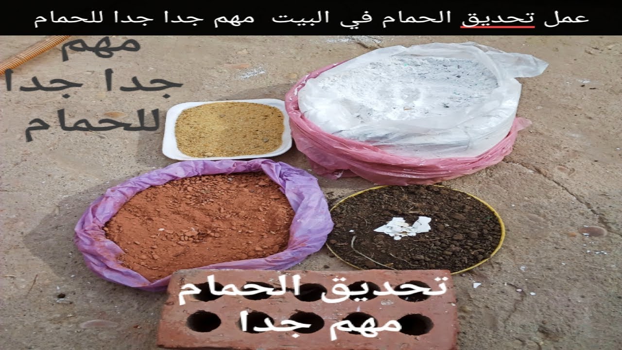 طريقه عمل تحديق الحمام في البيت مهم جدا للحمام
