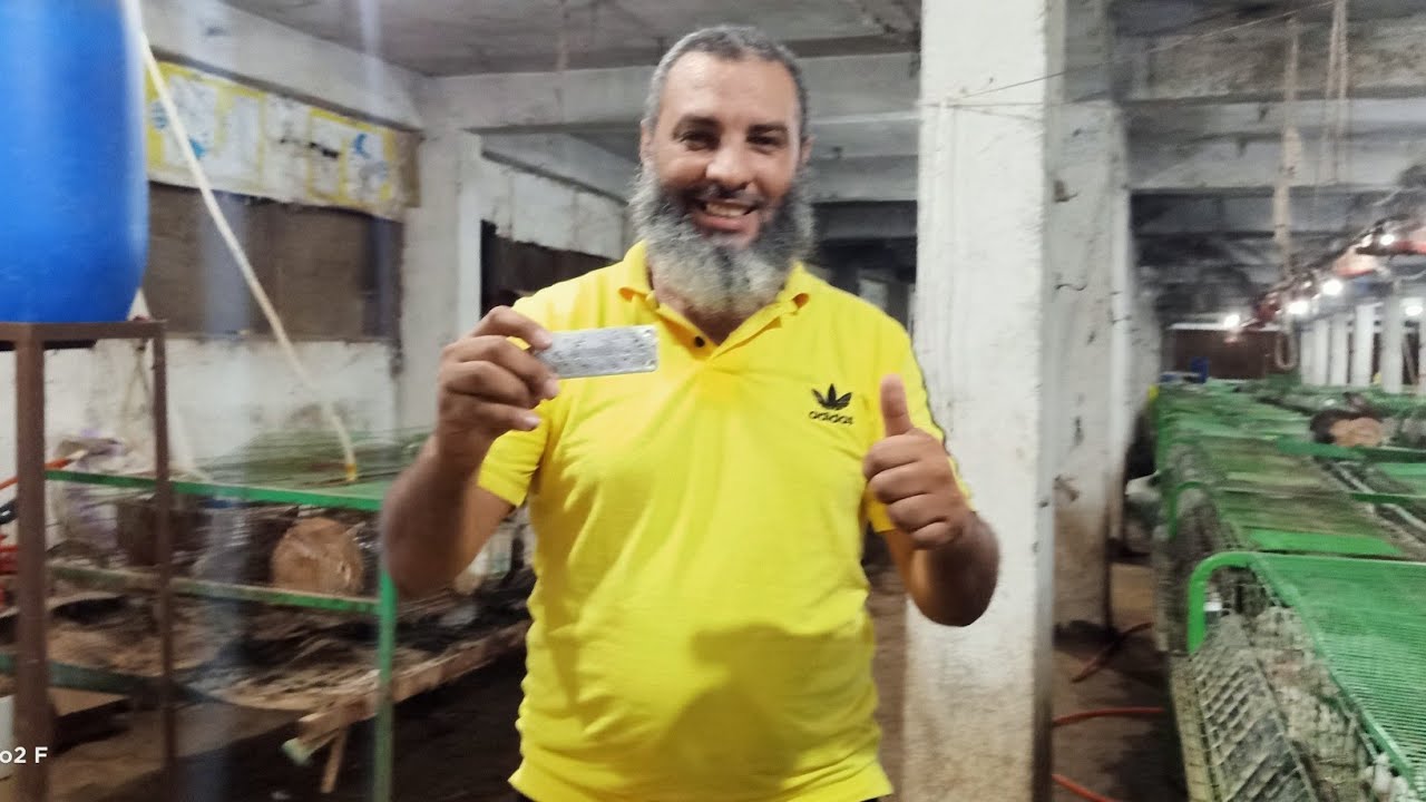 ارانب الخير ب 3 جنيه علاج الجرب,,,117