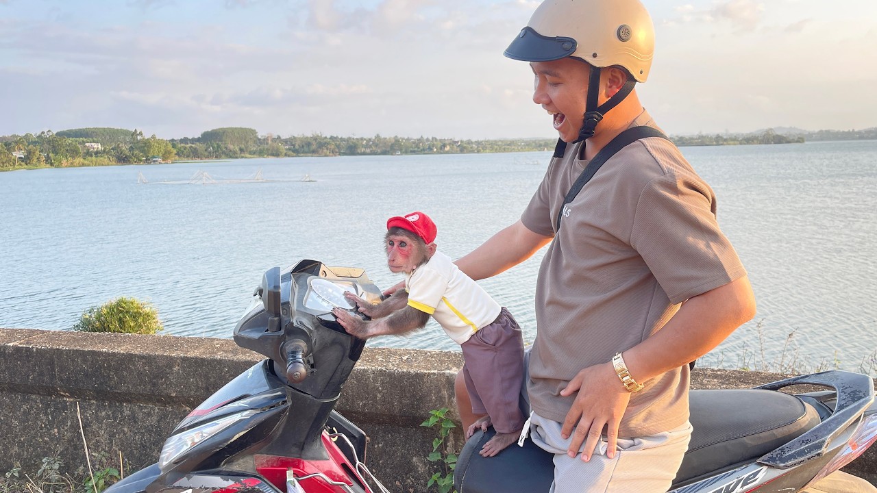 CUBIS and Dad’s Peaceful Afternoon by the Lake… So Relaxing! 🐒🌿