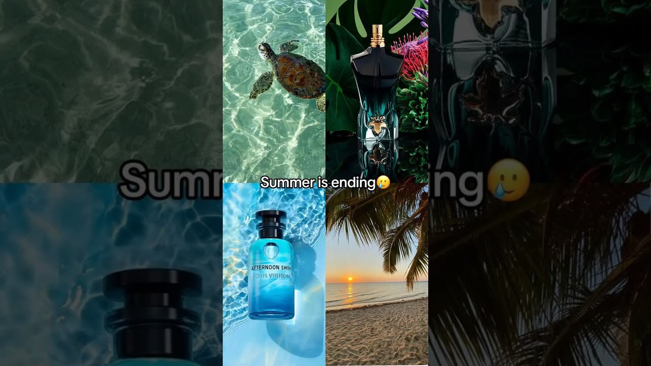 Summer or Winter? 