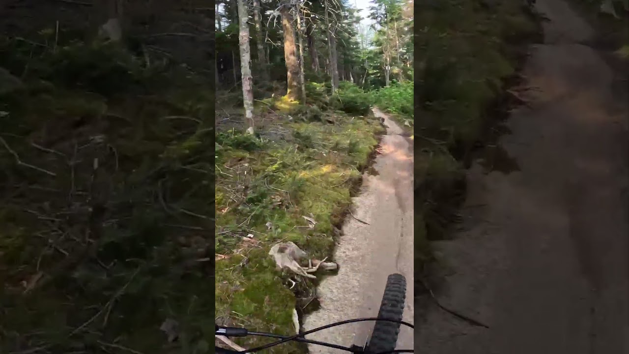 Riding on rock and great veiws at Sentiers du Moulin! #mtb #canada