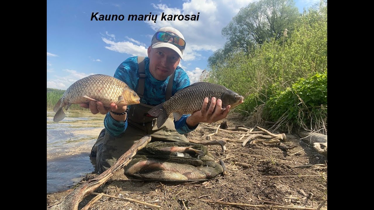 Kauno marių karosai