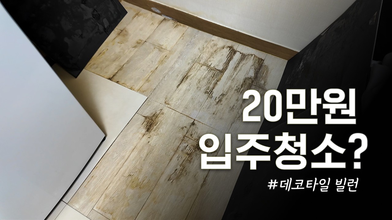 전 세입자가 남긴 '데코타일'의 공포 😱 ㅣ 5평 원룸 이사 브이로그 (feat. 서울의 잔인한 입주청소✨)