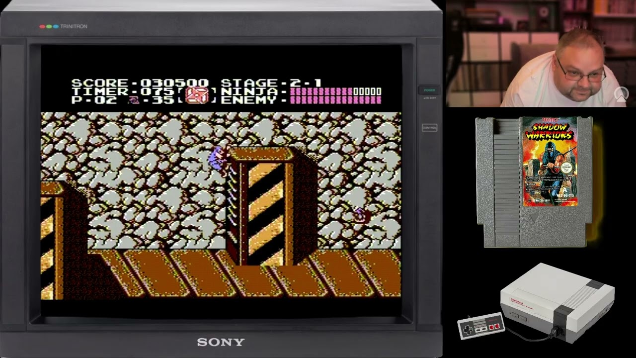Shadow Warriors (Ninja Gaiden) (NES)