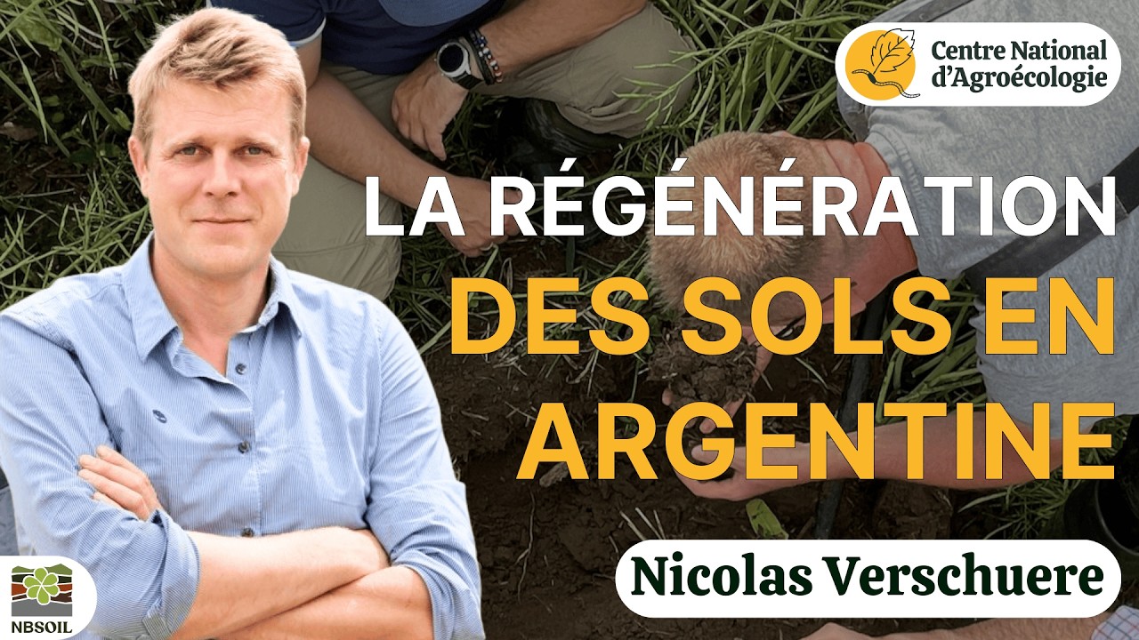 Pourquoi l'argentine a-elle des coûts de production si bas ? Nicolas Verschuere