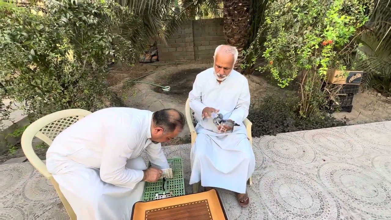 تصوير حمام سلاله ربيعه سهيل المبارك وابو علي 