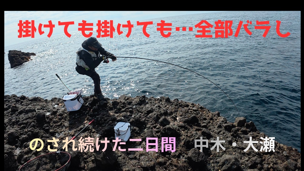 南伊豆　中木と大瀬で2日間釣りをしてきましたが、反応は薄く、掛けても バラしの連続。姿を見られたのはタカノハダイ、イサキだけでした。ほぼ“バラし特集”のような内容ですが、よろしければご覧ください😊