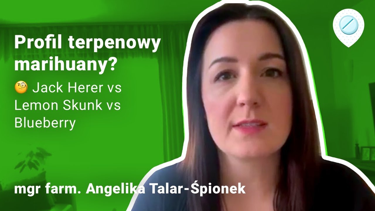 Jack Herer, profil terpenowy i inne czynniki porównania odmian marihuany medycznej