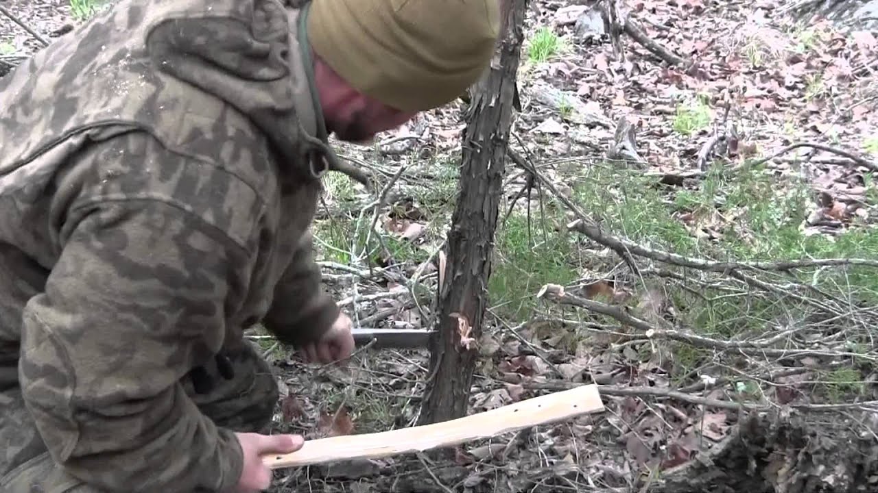 How to Cut Down a Tree with a Knife