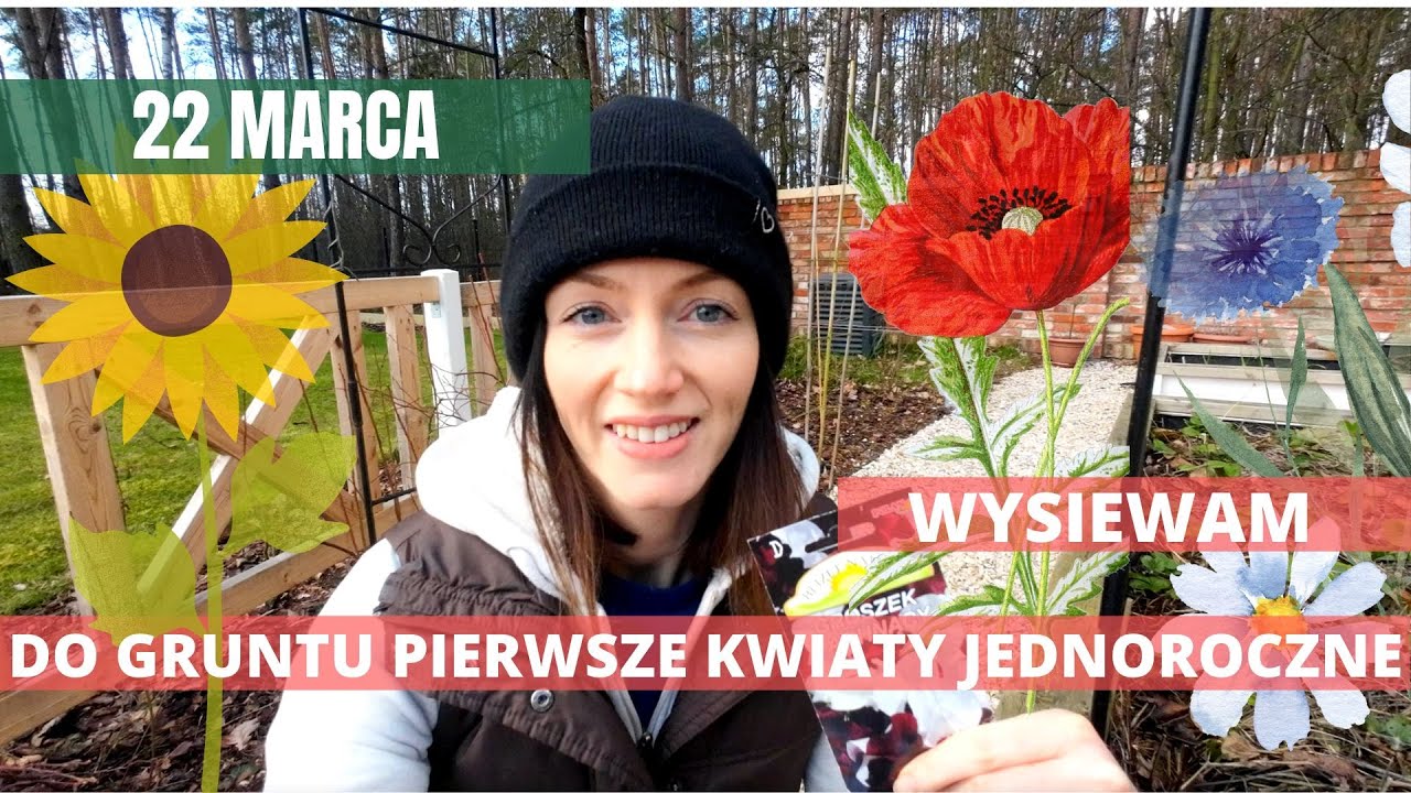 MARZEC w ogrodzie: 22. Wysiew kwiatów jednorocznych do gruntu
