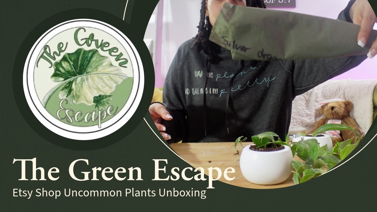 Rare Plant Reveal: Unboxing Hidden Gems from The Green Escape!