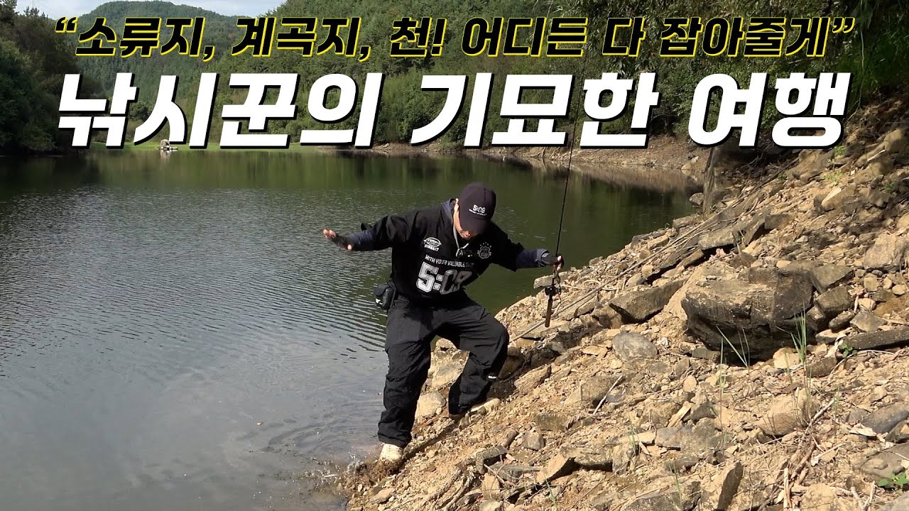 배스 타작하러 기묘한 여행을 다녀왔읍니다