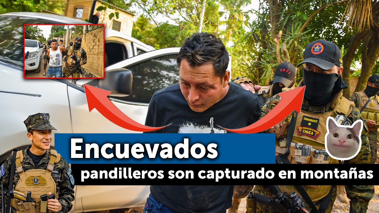 Caen pandilleros que estaban encuevados en El Conacaste tras intensa b&uacute;squeda militar #bukele