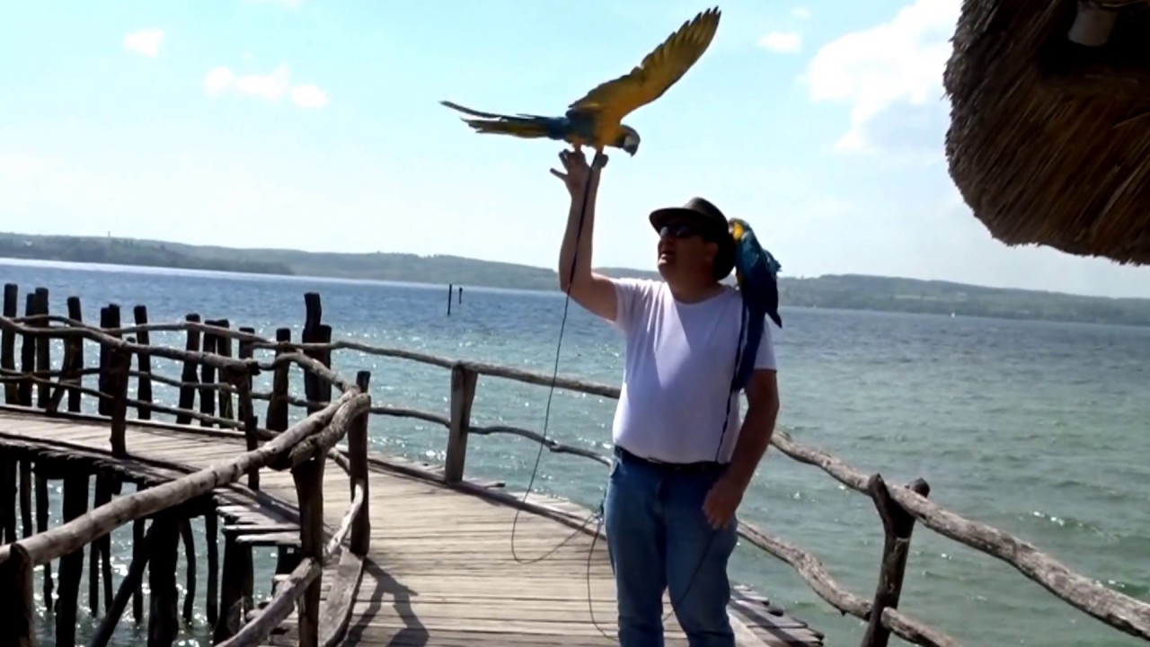 Papageienurlaub 2018