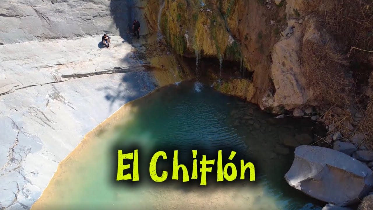 Un hermoso oasis poco conocido en medio del desierto de Coahuila! #viajesmexico #coahuila 