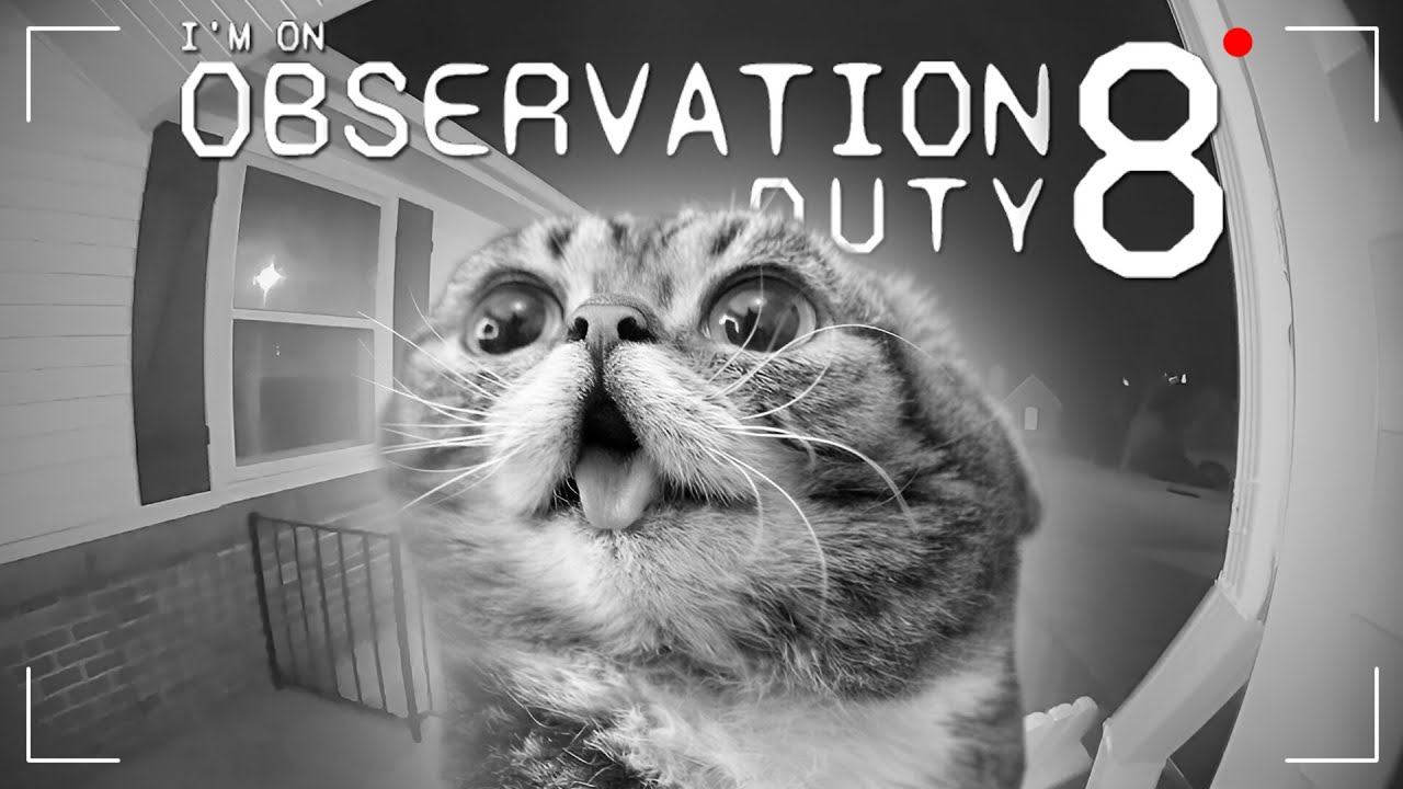 Ночью смотрим аномалии в Observation Duty 8 #игры #стрим #mopsickplay